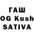 Галлюциногенные грибы GOLDEN TEACHER Loci K