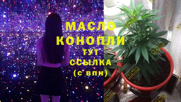 jwh Снежногорск
