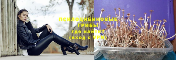 Альфа ПВП Сосновка