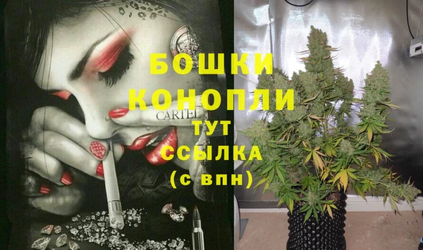 Альфа ПВП Снежинск