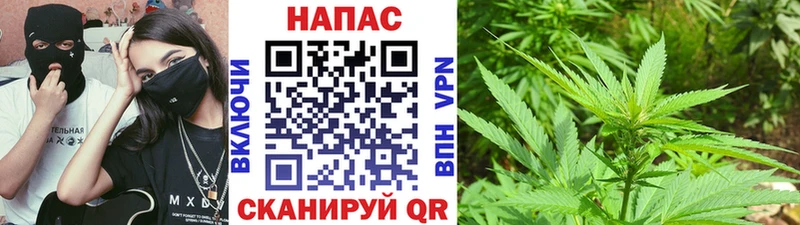 Бошки марихуана марихуана  наркота  гидра вход  Севастополь 